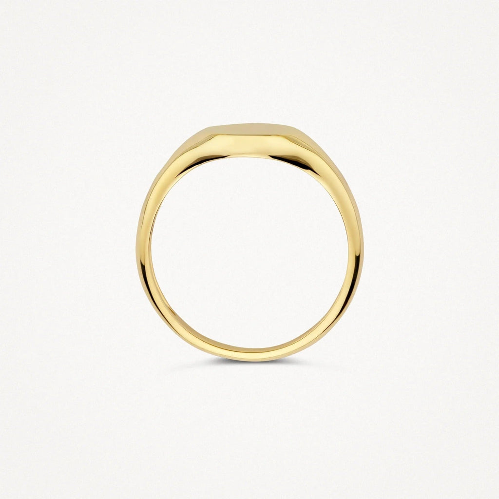 Polished Signet Ring